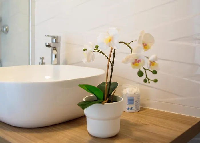 Luxury Senator * 코스타 테기세